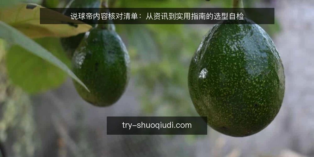 说球帝内容核对清单:从资讯到实用指南的选型自检 — 明确需求边界:先定义你要解决什么问题 配图
