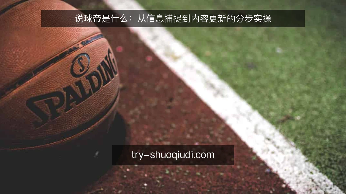 说球帝是什么:从信息捕捉到内容更新的分步实操