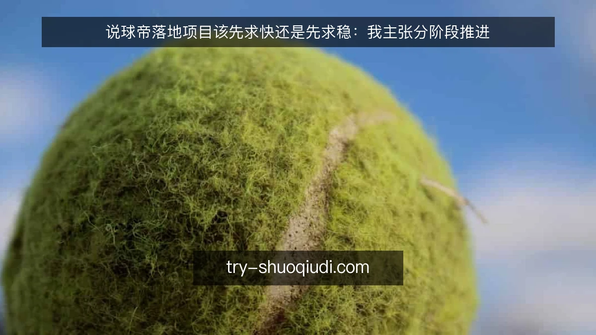 说球帝落地项目该先求快还是先求稳:我主张分阶段推进