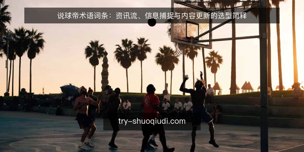 说球帝术语词条：资讯流、信息捕捉与内容更新的选型简释 — 术语词条：资讯流与信息捕捉 配图