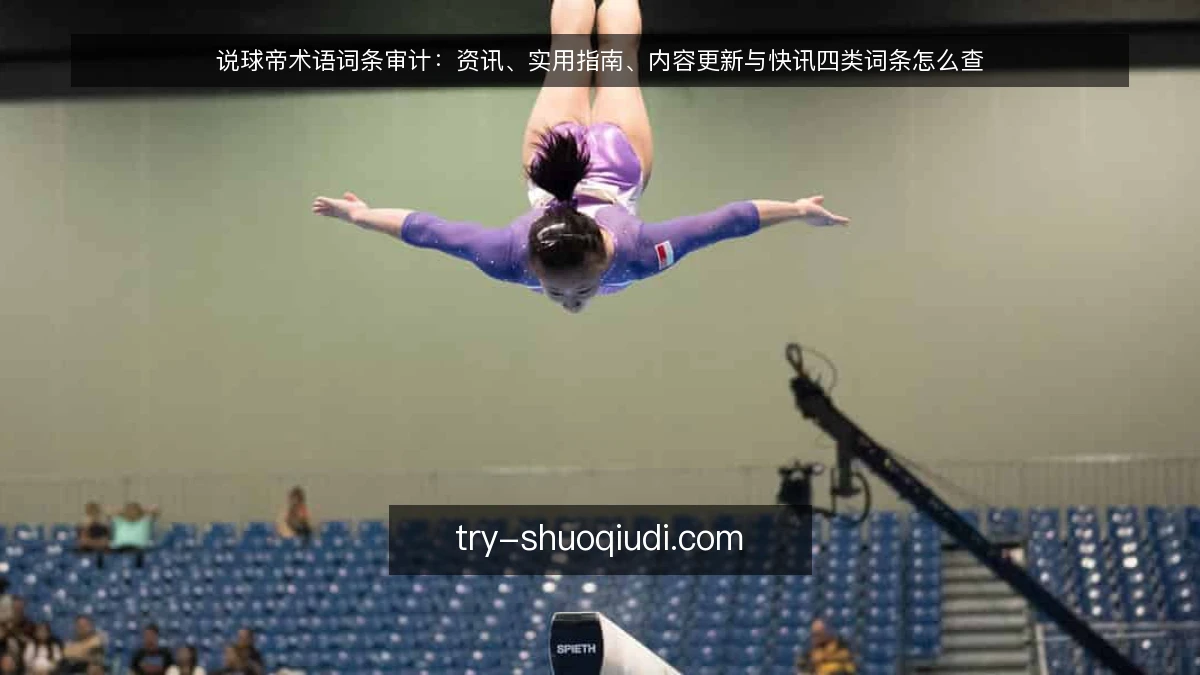 说球帝术语词条审计:资讯、实用指南、内容更新与快讯四类词条怎么查