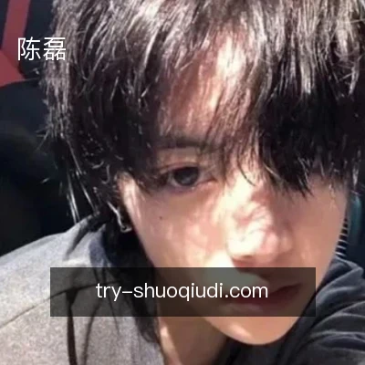 陈磊